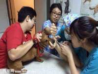 中卫市智悦商贸有限公司
