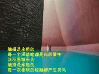 中卫市智悦商贸有限公司