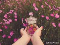 中卫市智悦商贸有限公司