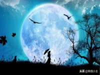 中卫市智悦商贸有限公司