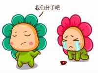 中卫市智悦商贸有限公司