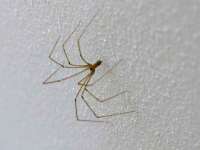 中卫市智悦商贸有限公司