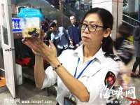 中卫市智悦商贸有限公司