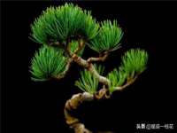 中卫市智悦商贸有限公司