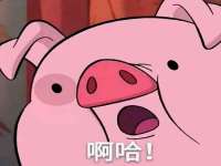 中卫市智悦商贸有限公司