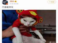 中卫市智悦商贸有限公司