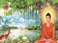 中卫市智悦商贸有限公司