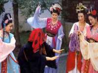 中卫市智悦商贸有限公司