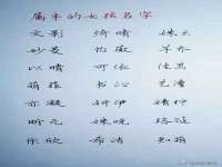 中卫市智悦商贸有限公司